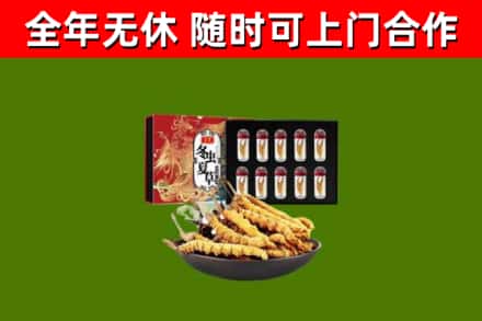 阿拉尔回收冬虫夏草价格