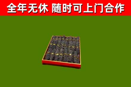阿拉尔烟酒回收海参.jpg